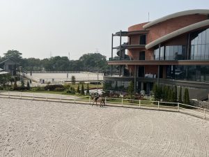 IMG_6405